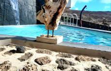 Villa Atlantis - Photo 5