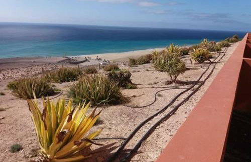 Mar de Horizonte - Foto 32