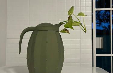 Iririu 01 · Ap térreo a 2 km - Hospital Regional Hans Dieter - Photo 23