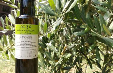 Agriturismo Le Case di San Vivaldo - Foto 66