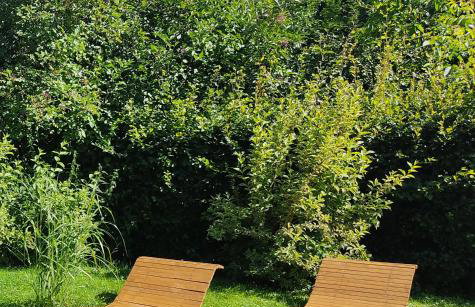 Wiśniowy Sad - Foto 40