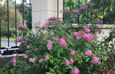 Gite Nature Loire et Châteaux 3* - Foto 19