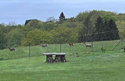 Le Domaine du Fayé - Foto 10
