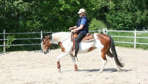 Ferienwohnung im Fehnland 25197 - Foto 2