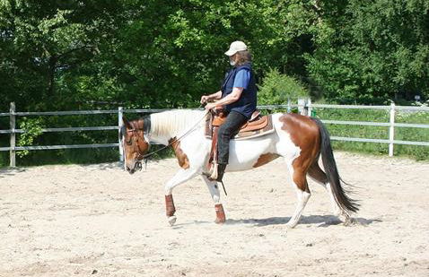 Ferienwohnung im Fehnland 25197 - Foto 2