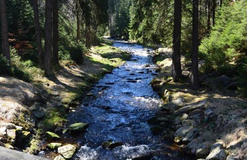 Ferienhaus Köhler - Foto 37