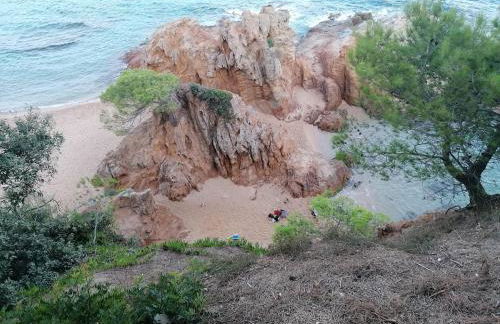 Exclusive Virginia Lloret - Foto 37