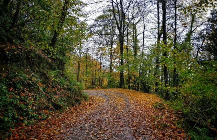 Masia Mediterranian Country House Ca l'Isidre Torrent - Foto 31