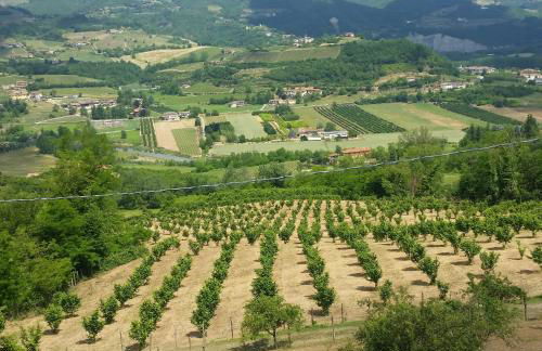 La Luna Buona - Foto 67