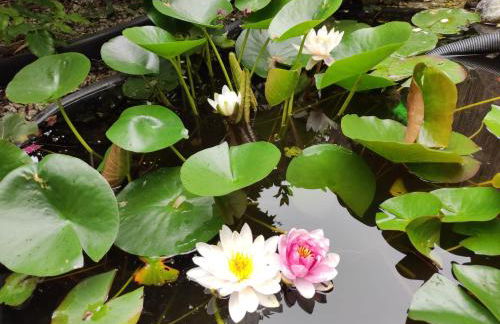 Anette's nettes Dachjuchhe - Foto 32