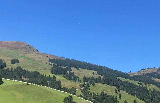 Chalet Tannenbaum - Foto 75