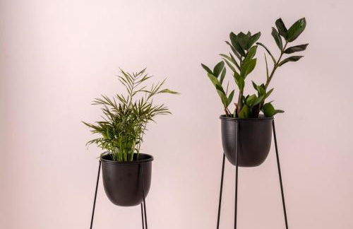 Sofi Mar - Plomari - The place to be - Photo 31