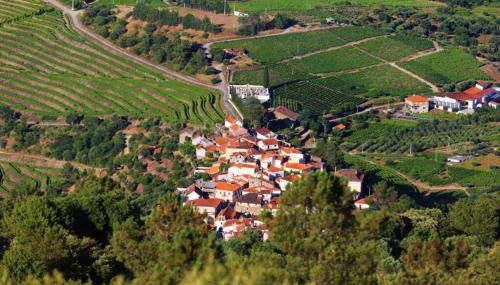 BABhouse Casa da Mata - Coração do Douro - Foto 2