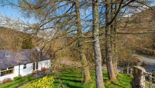 Lagnaha Cottage - Foto 3, Garden view