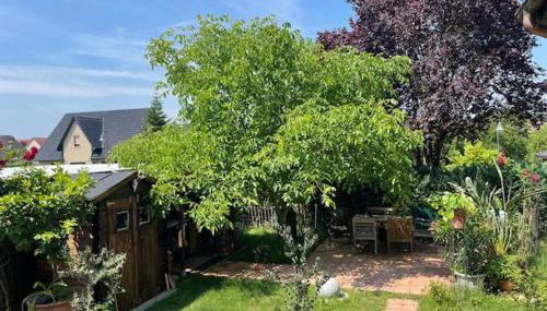 Seeadler - Ferienwohnung - Foto 4