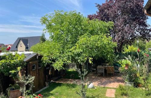 Seeadler - Ferienwohnung - Foto 4