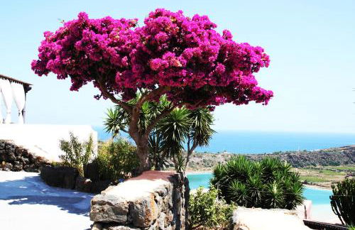 Venus Dream - Foto 3