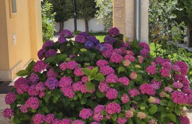 Villa Susann - Photo 59