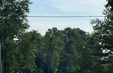 Twin Pines Lake resort 2 - Foto 14