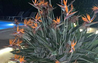 Villa Agua Turquesa - Foto 39