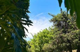 Sítio Mato Dentro - Foto 11