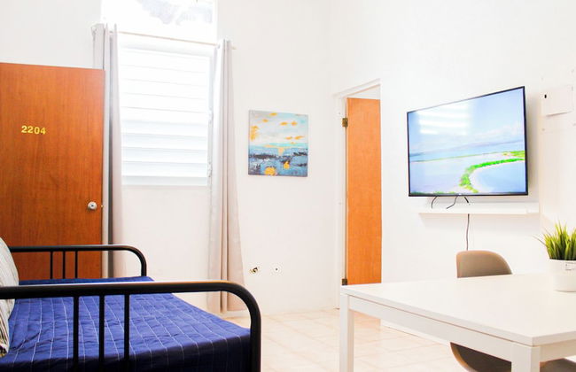 Gladiolas 2204 - Foto 6