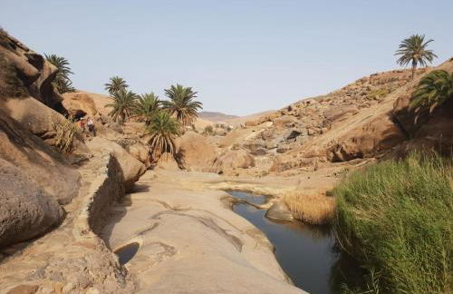 Ajuy Tortuga House - Photo 43