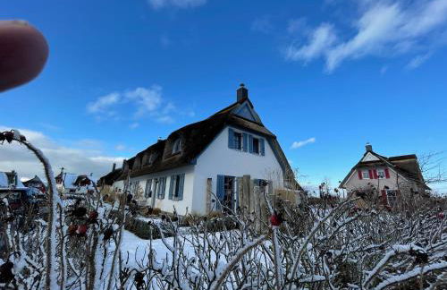 Emilias Hüs, Reethaus in der Bucht von Wismar - Photo 26