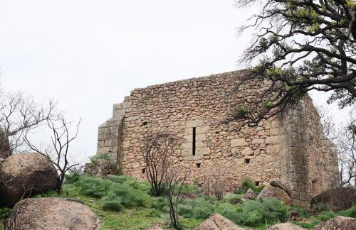 La Grulla Gris - Foto 33