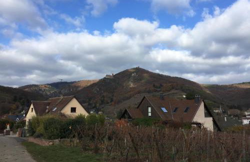 les menetriers - Foto 11