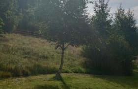 DOMKI KOLOROWE - Foto 72