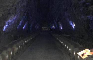 Mobilhome Loulousab10 Vacances cosy en famille chiens bienvenus - Foto 15