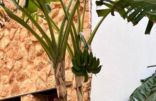 Punta Prima - Charming Spanish Apartment with South-Facing Terrace by the Sea - Foto 56