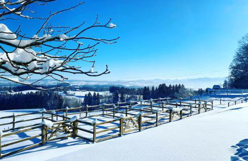 Gut Buchenhof - Photo 59