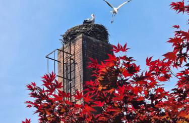 Hey Spreewald Ferienapartments - Foto 11