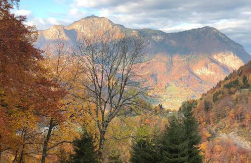 Appartement du bois des Fugiers - Foto 19