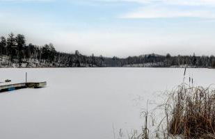 Stunning Cabin Getaway Surrounded by Towering Pine Trees in Walker, Minnesota - Foto 18