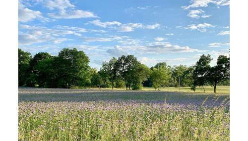 Schloss Badow Comfortable holiday residence - Foto 5, Other