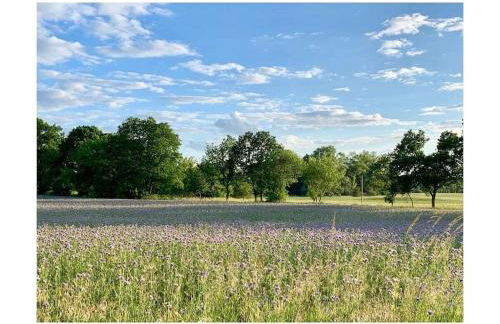 Schloss Badow Comfortable holiday residence - Foto 5