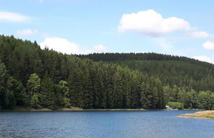 Ferienwohnung Wolf - Photo 17