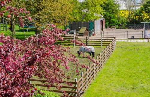 Ferienwohnung Fachwerkhaus - Süden oben - Bauernhof Hopp Vadersdorf - Foto 1