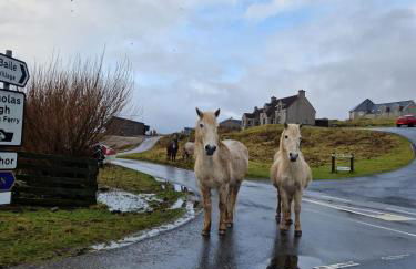 Loch an Eilean Pod Isle of South Uist - Foto 39
