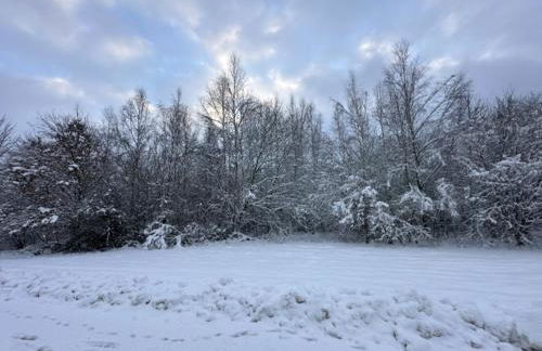 Das FieneHaus - Foto 7