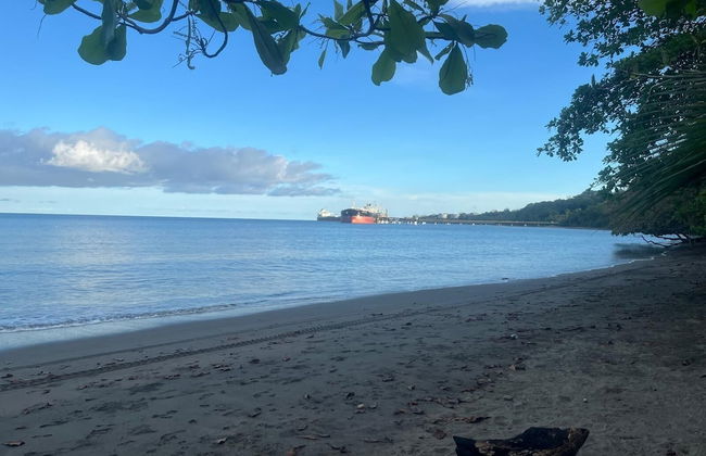 Perla Pacifico - Foto 20