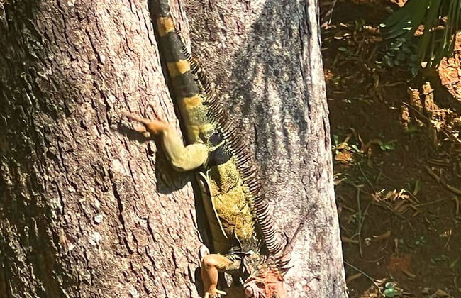 Casa de los Kobiera - Foto 34