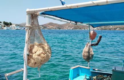 ELEGEO rockhouse - Foto 62