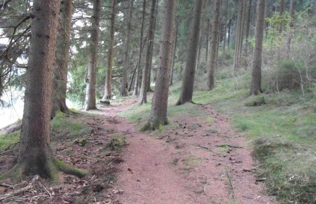 Adorable Aparment in Wildemann With Parking - Foto 67