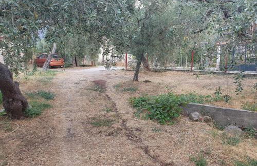 MariGold Villa - Photo 30