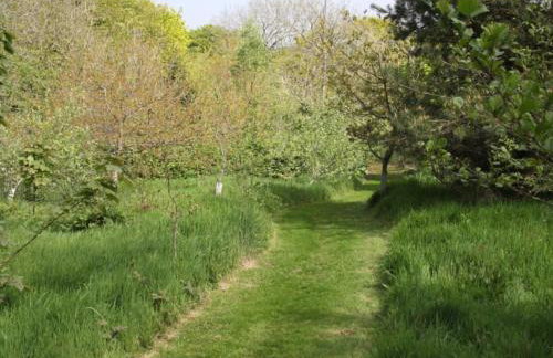 1 Bed in Umberleigh oc-55321 - Foto 21