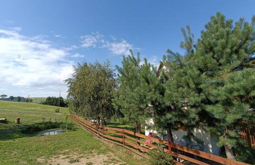 Skała i Las - Foto 24